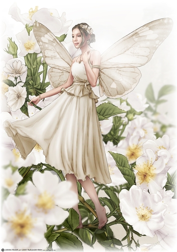 Ophelia Cream A4