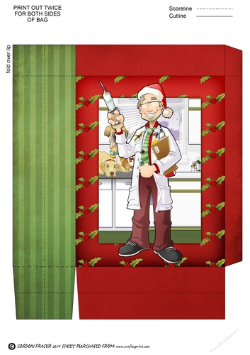 Christmas Vet Dude Mini Gift Bag