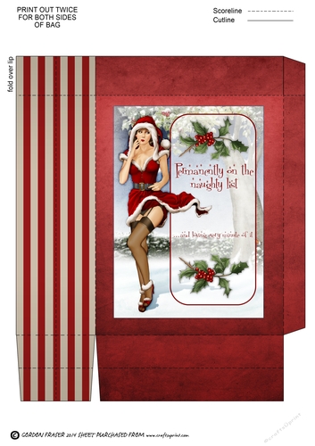 Naughty List Mini Gift Bag