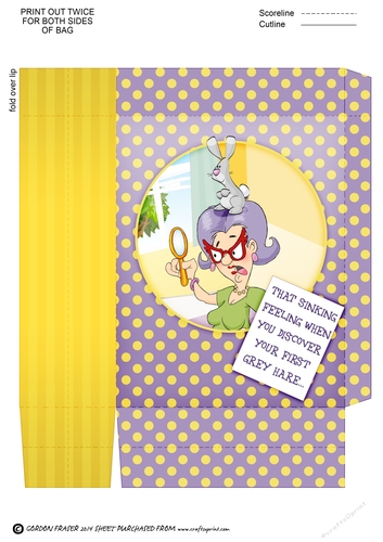 Veras Grey Hair Mini Gift Bag