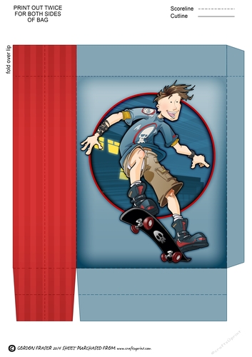 Skater Dude Night Mini Gift Bag