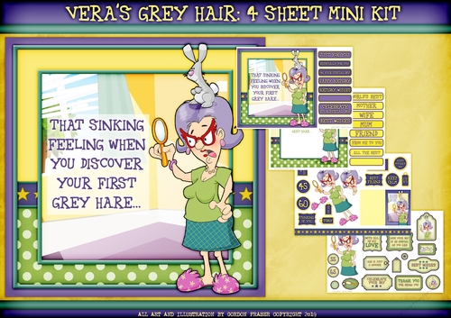 Veras Grey Hair 4 Sheet Mini Kit