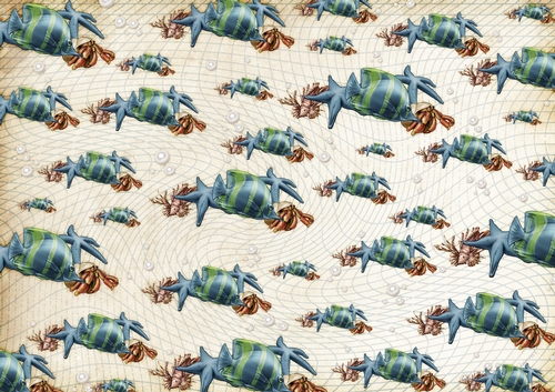 Oceania Mermaid Starfishl Backing Paper Blue