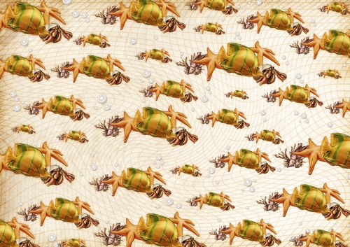 Oceania Mermaid Starfishl Backing Paper Gold