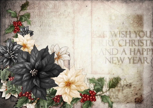 Poinsettia Christmas Spray Black