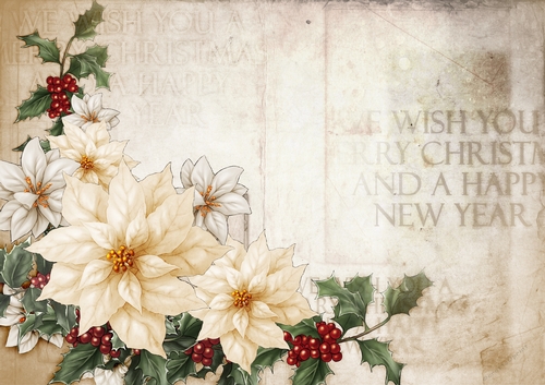 Poinsettia Christmas Spray Cream