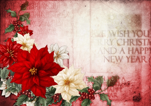 Poinsettia Christmas Spray Red