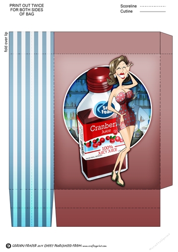 Cranberry Juice Dudess Mini Gift Bag