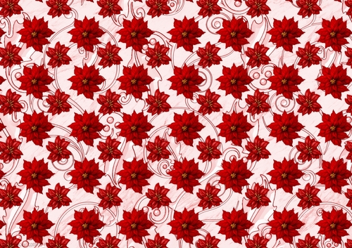 Poinsettia Christmas Spread Red
