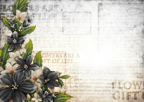 Sophia Floral Spray Paper Black