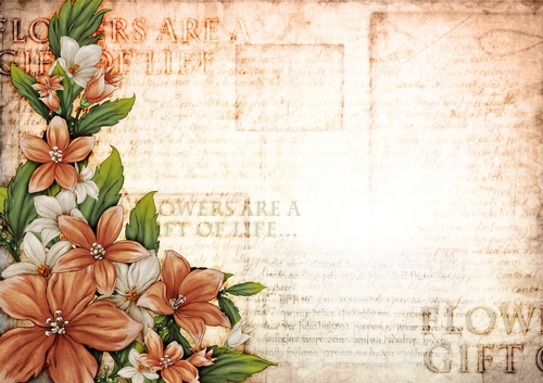 Sophia Floral Spray Paper Peach
