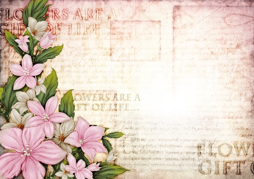 Sophia Floral Spray Paper Light Pink