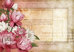 Lily Floral Spray Paper Dark Pink