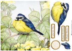 Blue Tit 8x8 Quick Card