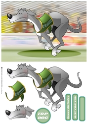 Greyhound Race (Grey)