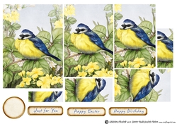 Blue Tit Pyramid