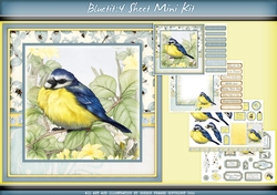 Blue Tit 4 Sheet Mini Kit