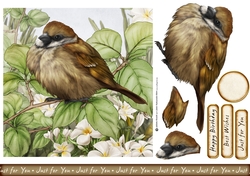 Sparrow 7x7 Quick Card