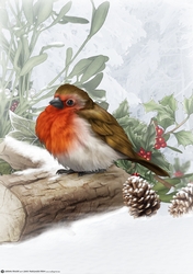 Snowy Robin A4