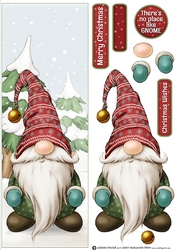 Alfred the Christmas Gnome Large DL