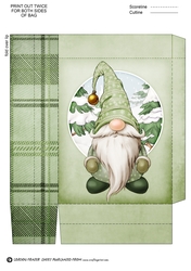 Alfred the Christmas Gnome Green Mini Gift Bag