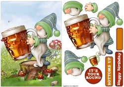 Beer Gnome