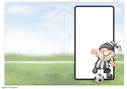 Football Gnome Black and White Stripes Insert