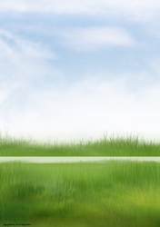 Sports Pitch Scene
