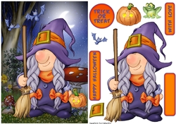 Halloween Gnome Witch