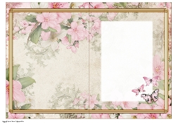 Butterfly Blossom Pink Insert