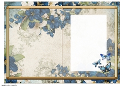 Butterfly Blossom Dark Blue Insert