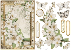 Butterfly Blossom Cream