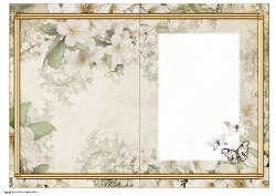 Butterfly Blossom Cream Insert