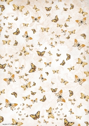 Butterfly Blossom Paper 2 Gold