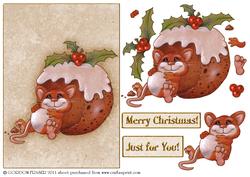 Too Much Pud!