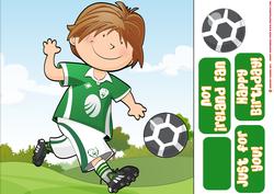 Mini Dude Footballer Ireland Strip 8x8 Quick Card