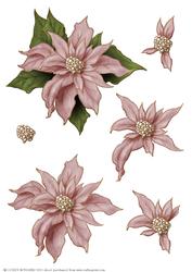 Poinsettia Decoupage Sheet Pink