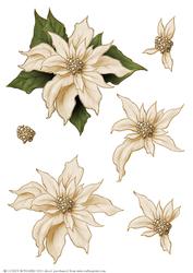 Poinsettia Decoupage Sheet Cream