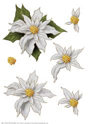 Poinsettia Decoupage Sheet White