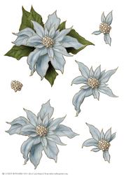 Poinsettia Decoupage Sheet Light Blue