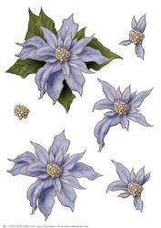 Poinsettia Decoupage Sheet Lilac