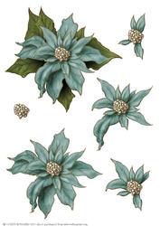 Poinsettia Decoupage Sheet Aqua