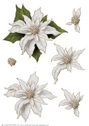 Poinsettia Decoupage Sheet Silver