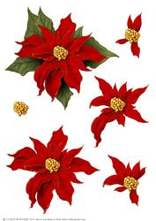 Poinsettia Decoupage Sheet Red