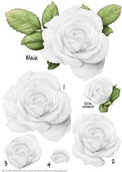 White Rose Decoupage Sheet