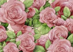 Rose Backing Paper Mid Pink