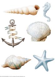 Seaside Embellishments (light Blue)