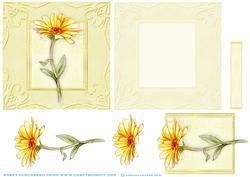 Golden Flower Quick Card.