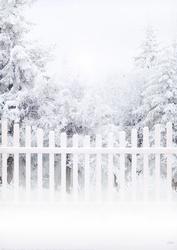 Snowy Garden Scene