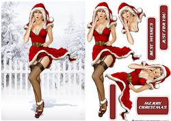 1950's Pin Up Eva Grace Winter Wonderland (red/blonde H)